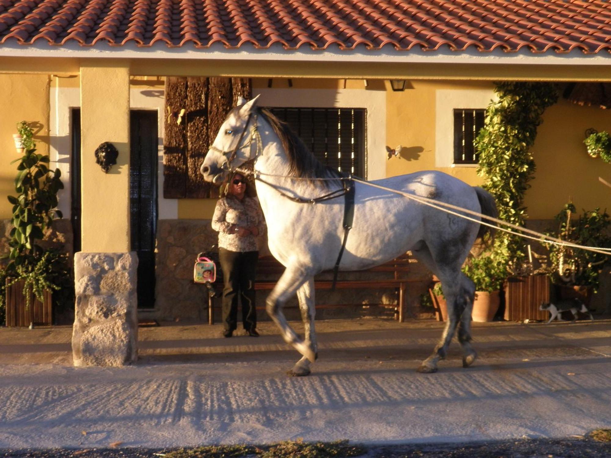 La Posada Hipica Росалехо Экстерьер фото